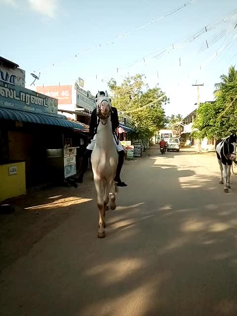 @m.s.Bathusha 3021