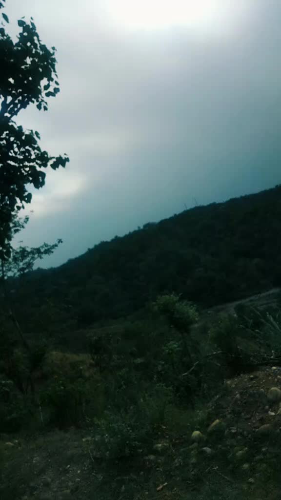 @PriyankaSharma 320