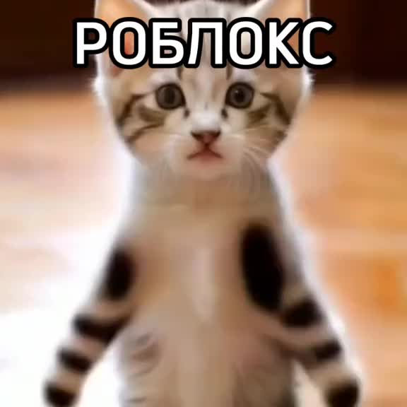 @GrevenToHarya