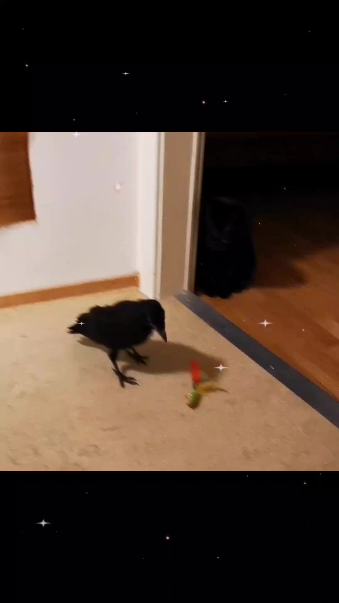 @Tess_FlyCrow