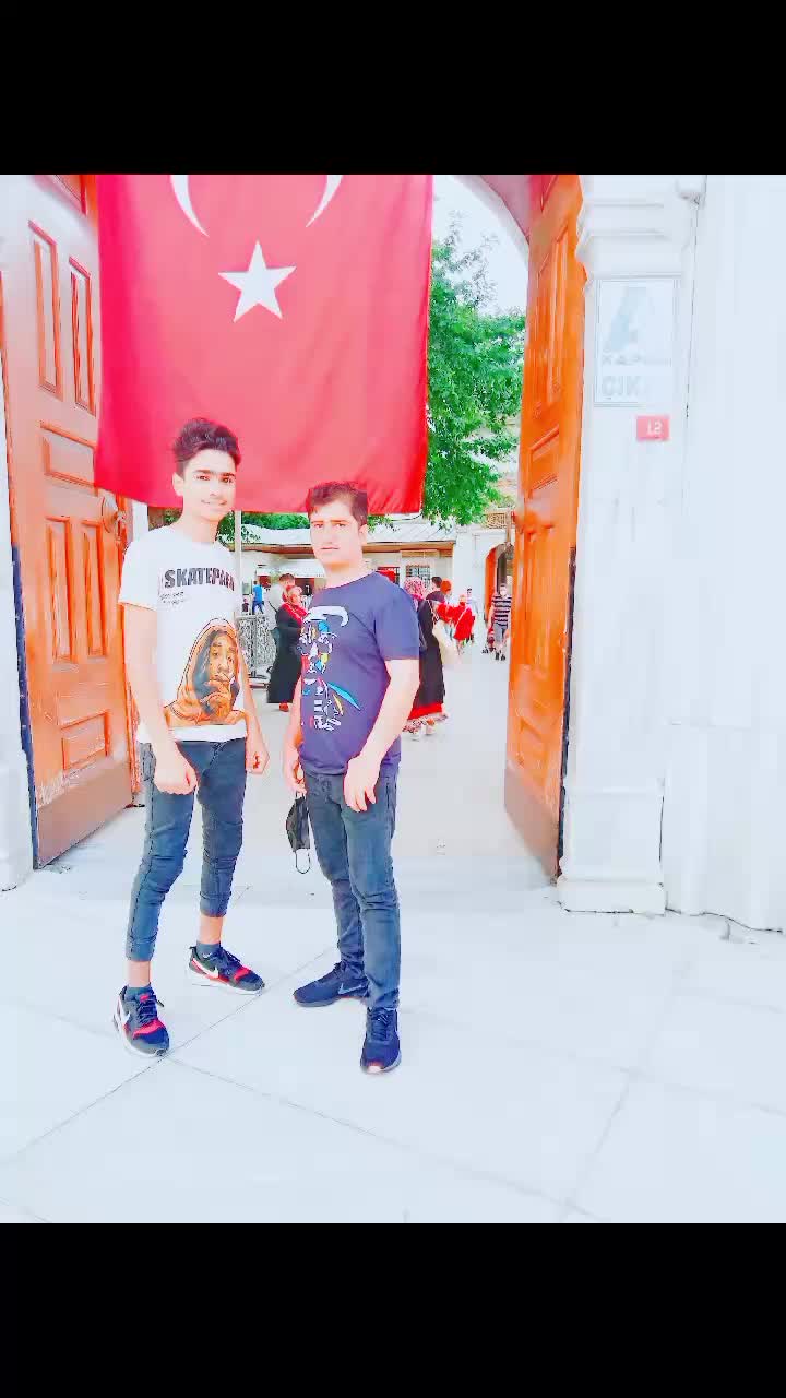 @gulfamdogar265