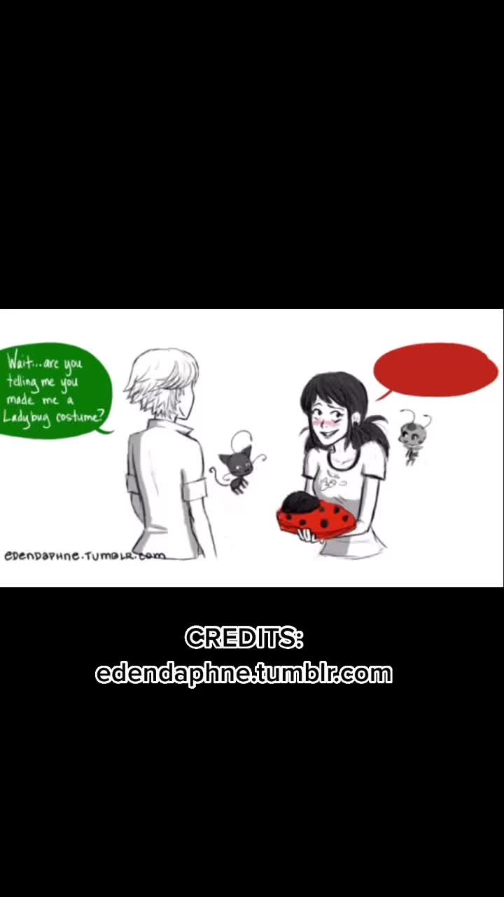@miraculous😚🐞🐈⬛