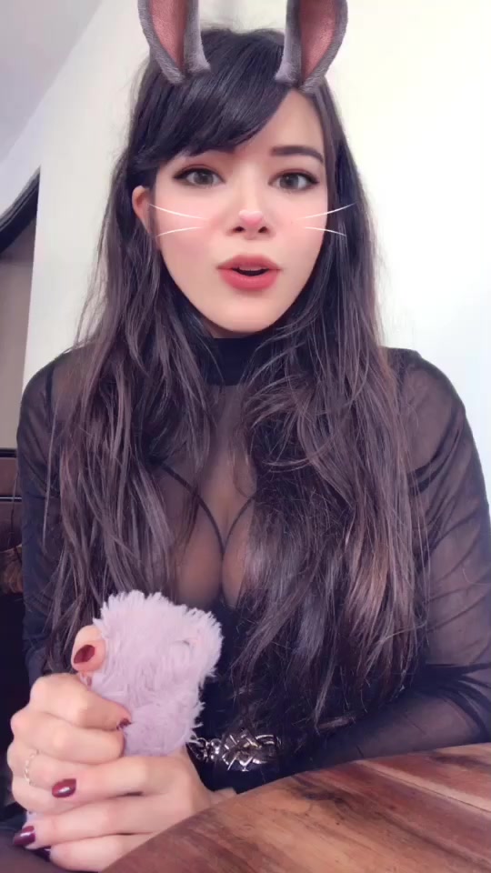 @Lapini 🐰