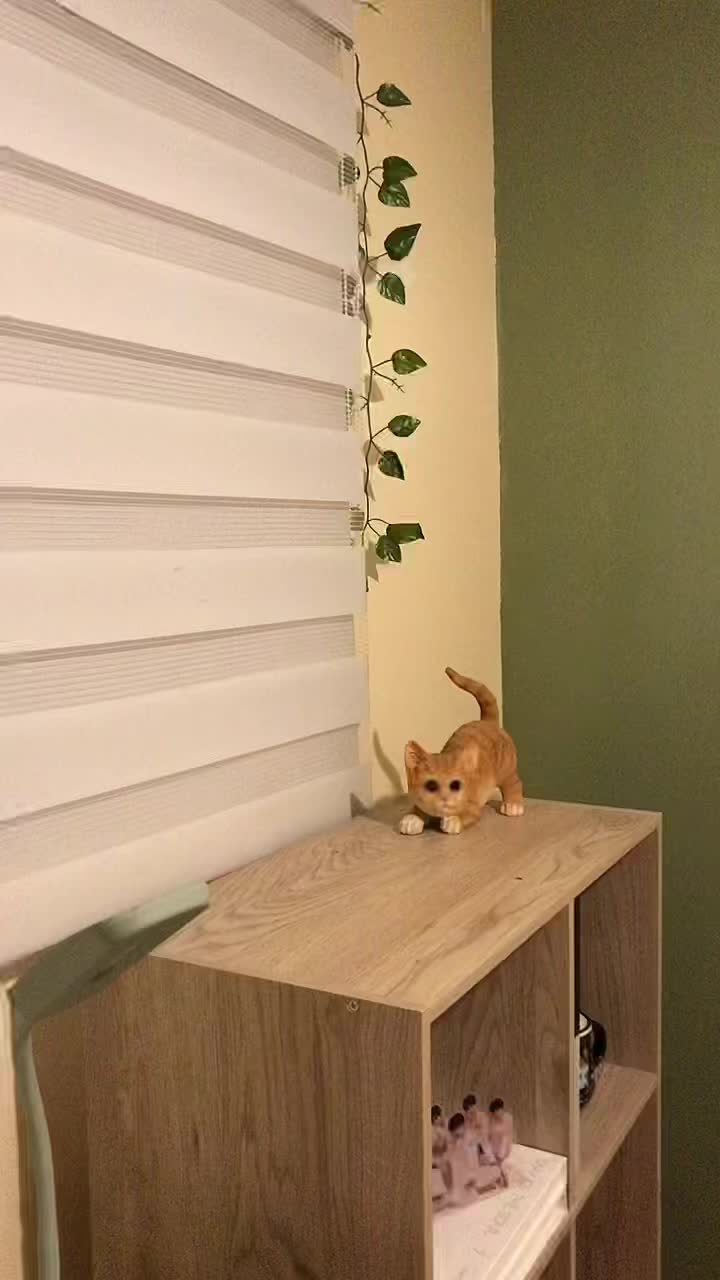 @୧ ♡ ୨