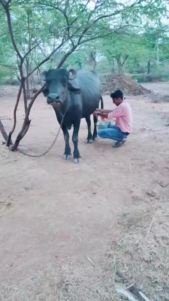 @🔥🔥 Rabari 🔥 rj 🔥