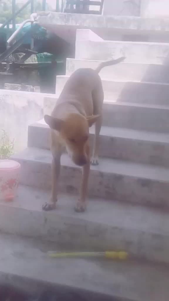 @MEERA KRISHNAN. R