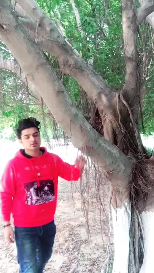 @Shashank