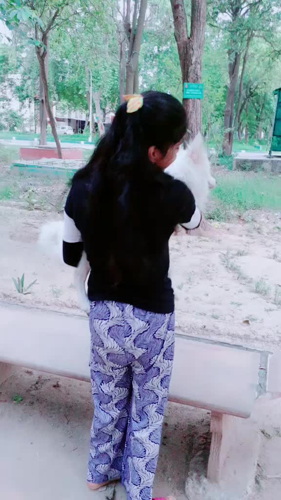 @soni