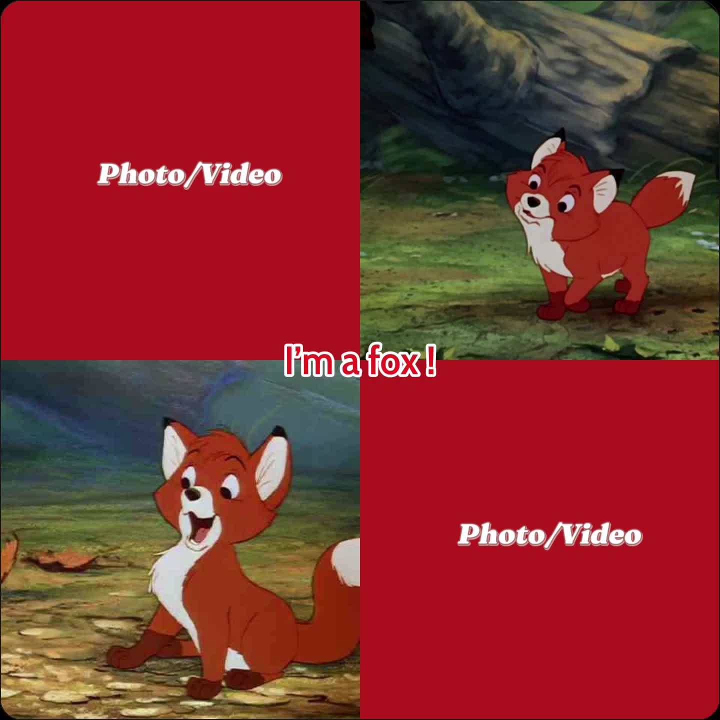 @𝗧𝗲𝗺𝗽𝗹𝗮𝘁𝗲𝘀 𖹭