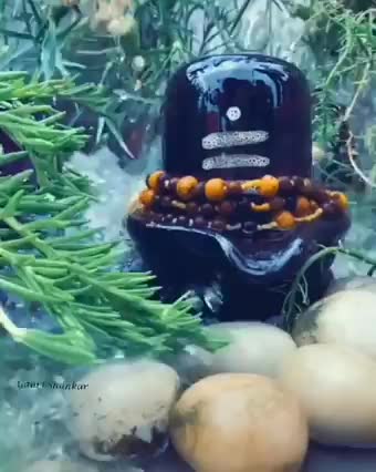 @পাপু শইকীয়া