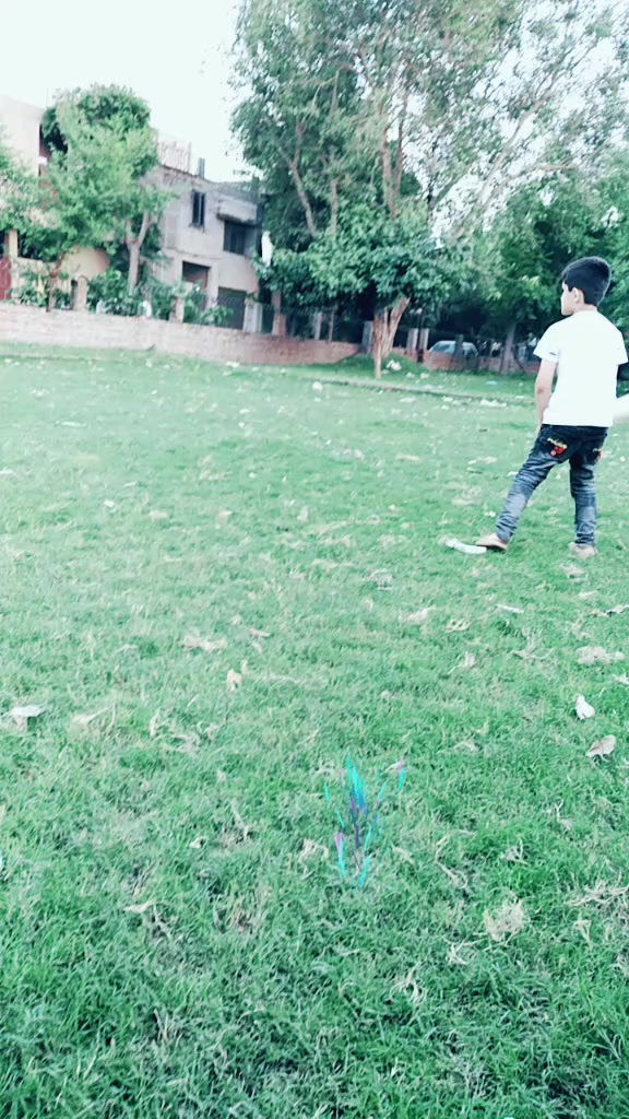 @wk205181