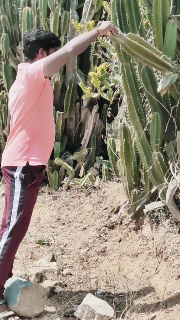 @Virat Gana