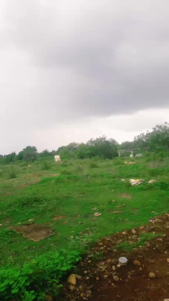 @Shankar Mane