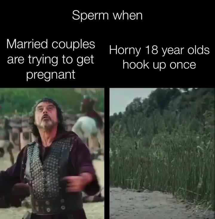 @Viral Content & Memes