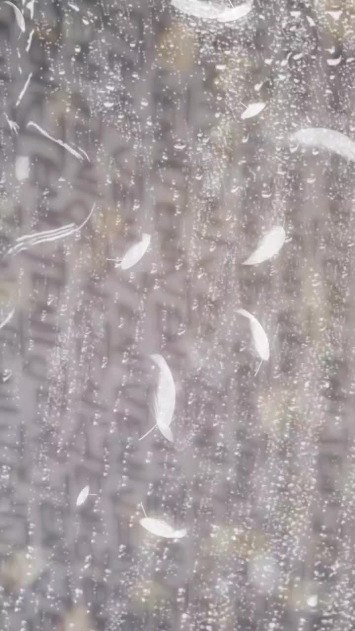 @jenifermalarmaran