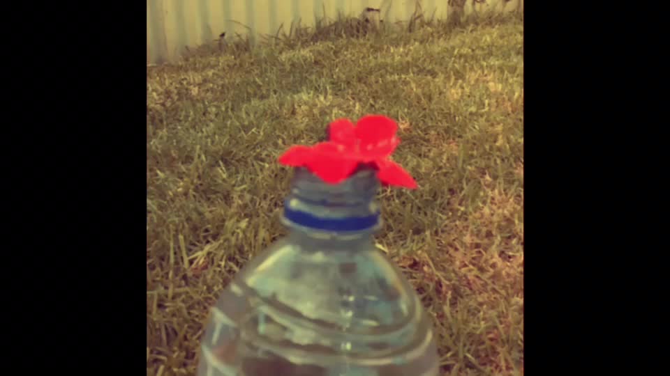 @☘️💫