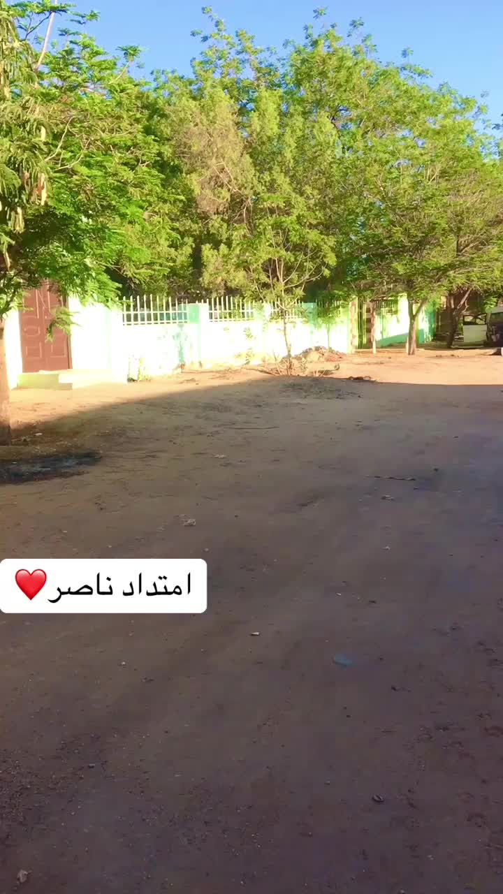 @alshazaly Ahmed