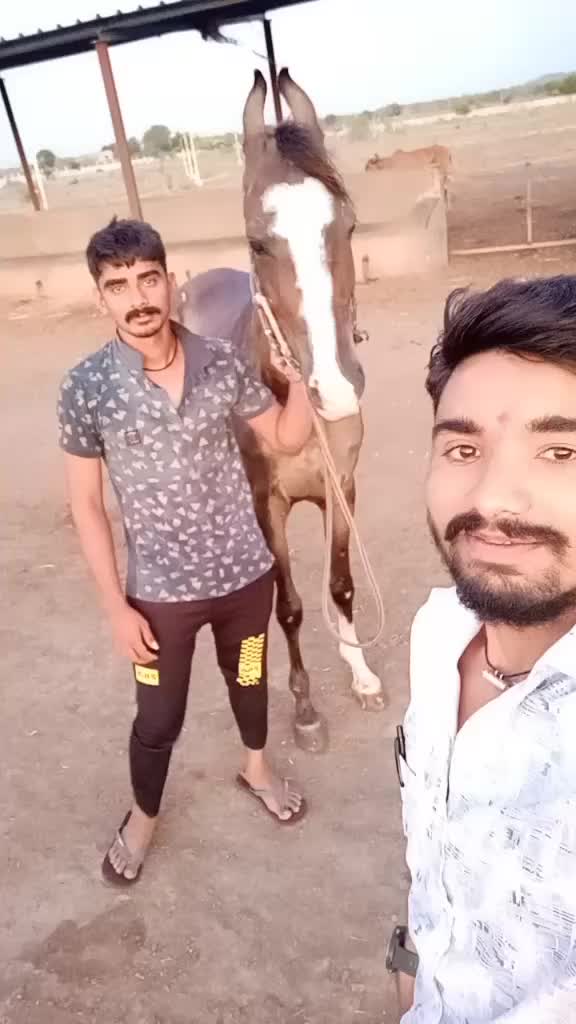 @Mojilo.MalDhari