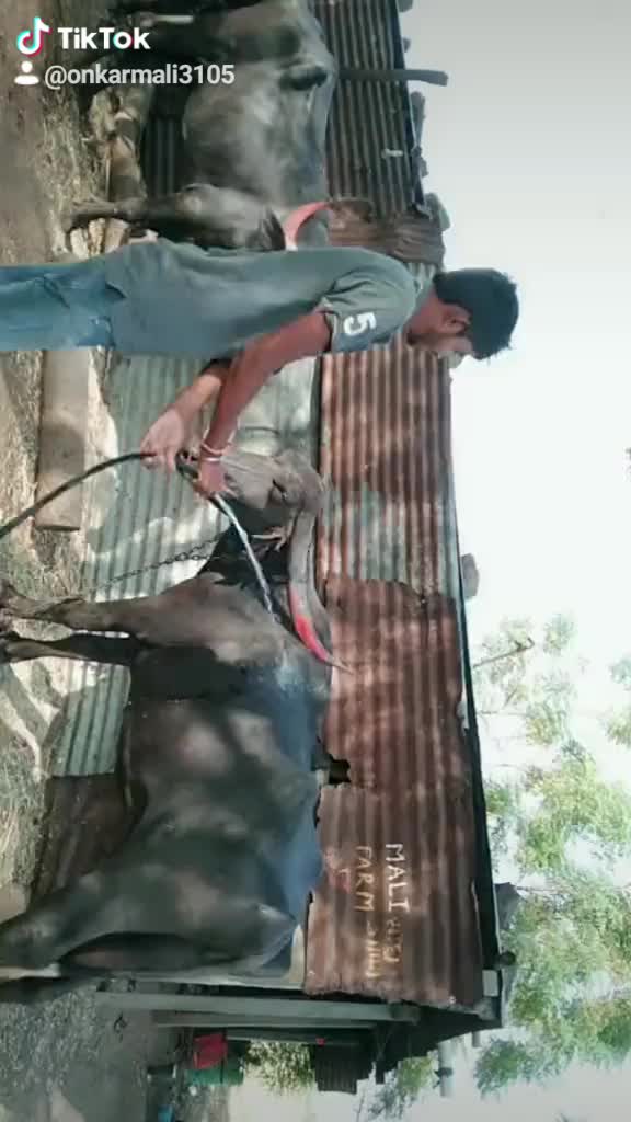 @Onkar mali3105