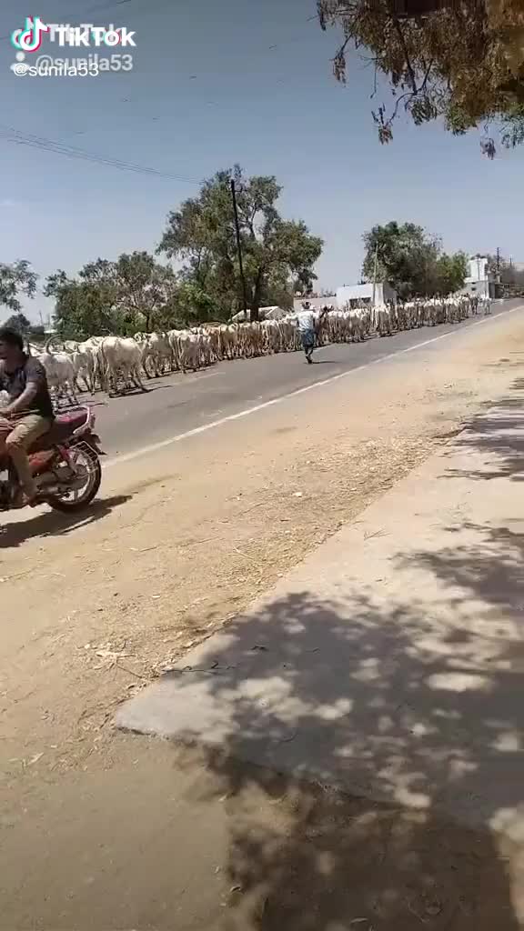 @ಜೈ ಬಸವಣ್ಣ ಲಿಂಗಾಯತ 🙏