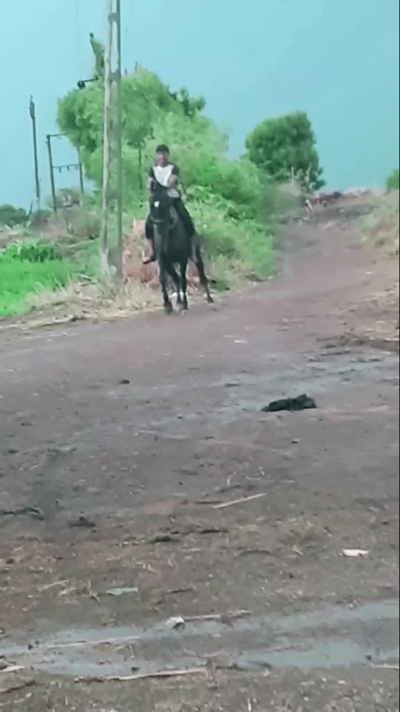 @jayrajsinh_7007