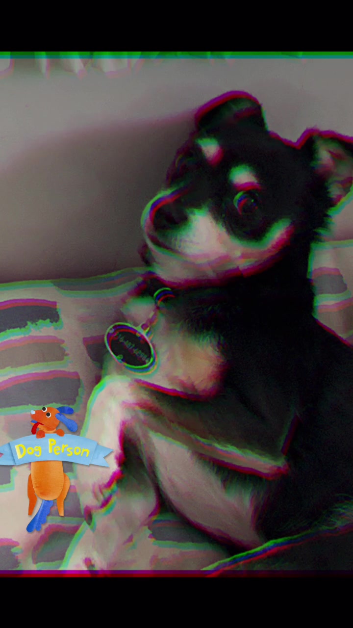 @DOGMasterHarley