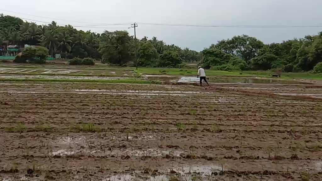 @Bharathraj kundapura
