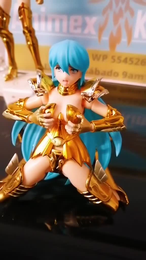 @animexkingdom