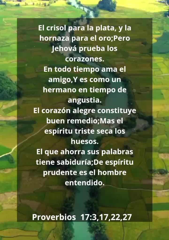 @Vicayquipa