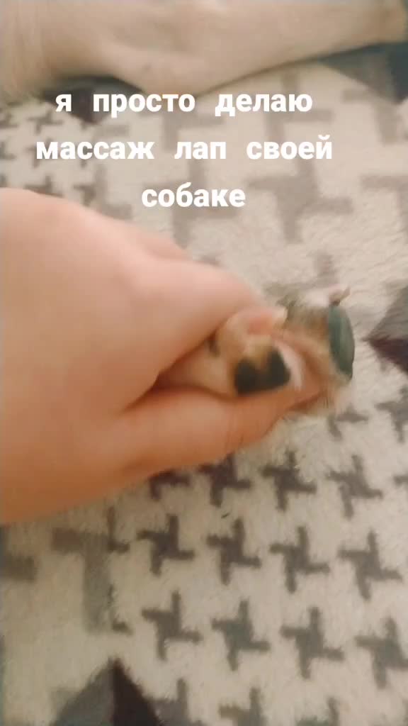 @люблю бисер❤️