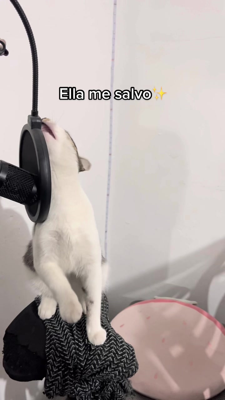 @Mariana Trinidad