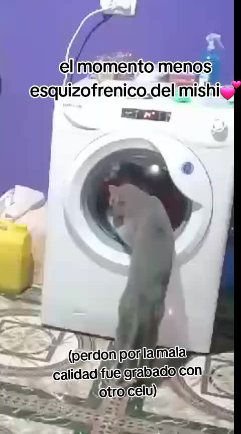 @🥀mar_uwu🥀
