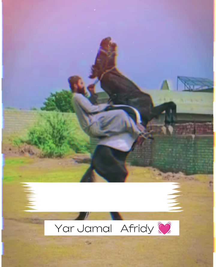 @☠️ Lala Afridi 👑