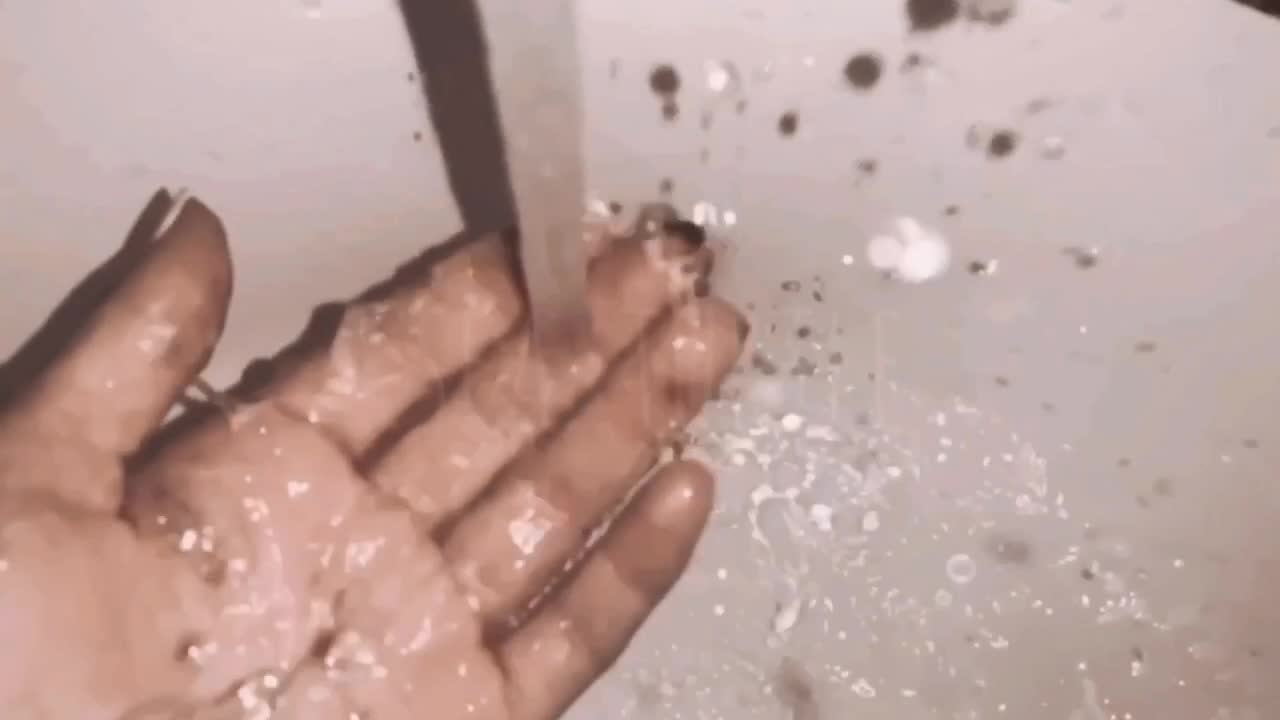 @𓆉𝚂𝚎𝚊.𝚝𝚞𝚛𝚝𝚕𝚎
