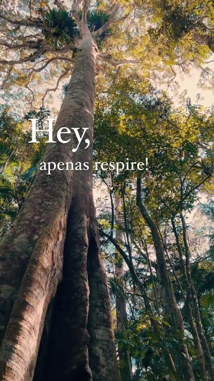 @familiadaserra