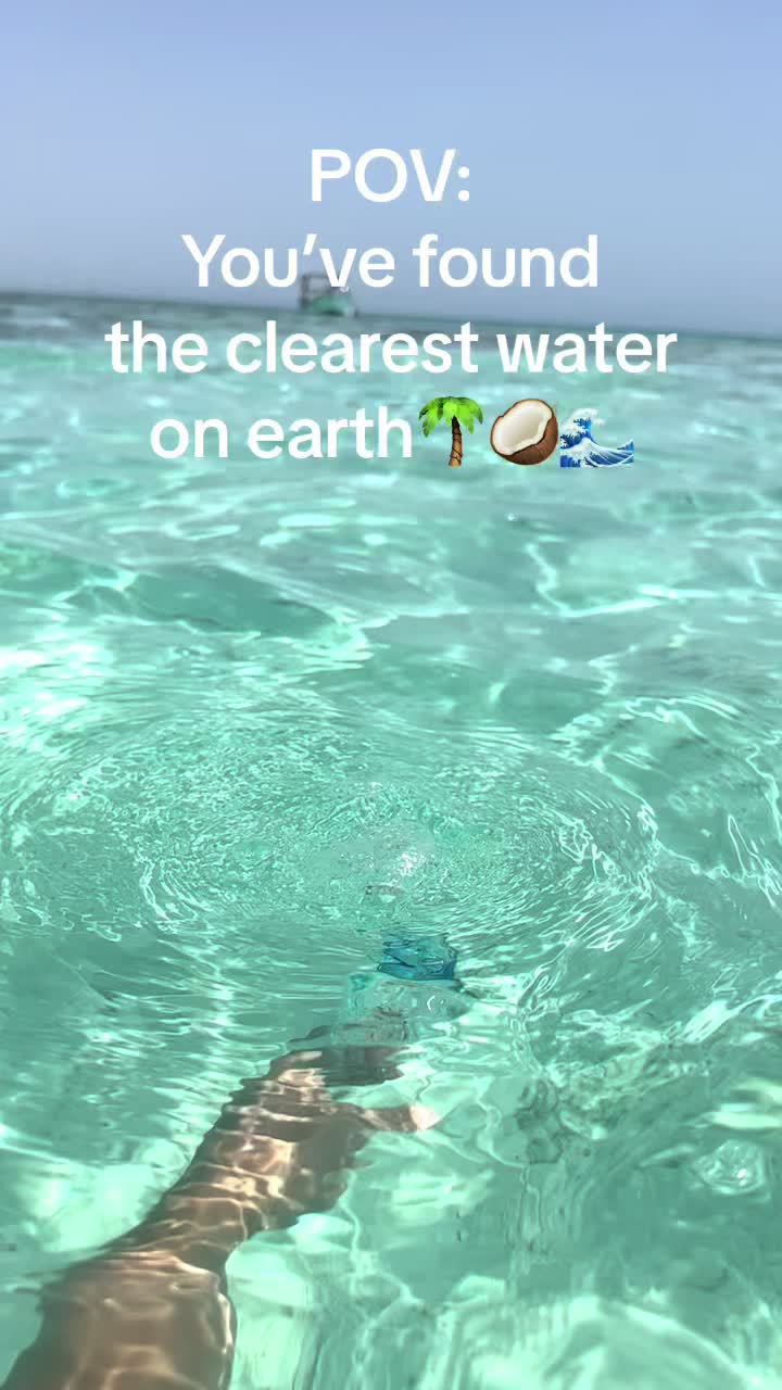 @🤍