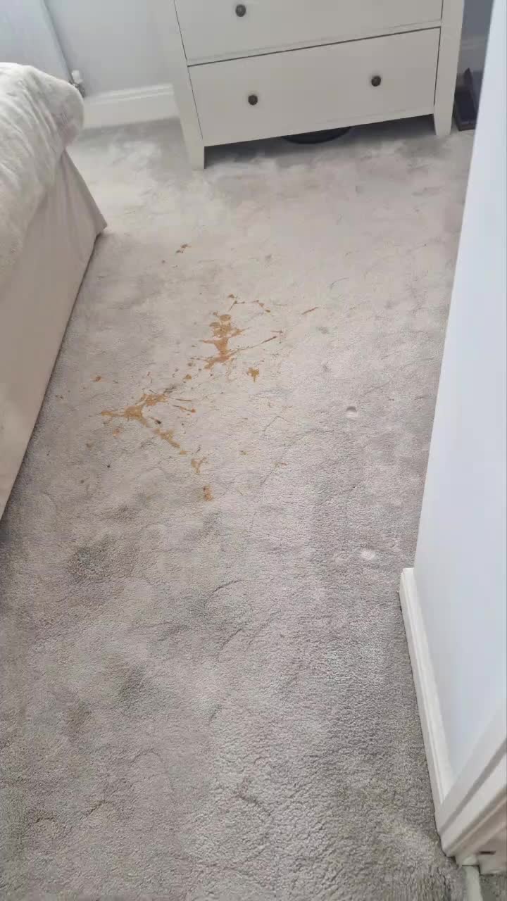 @Thomas carpet cleaning Ltd