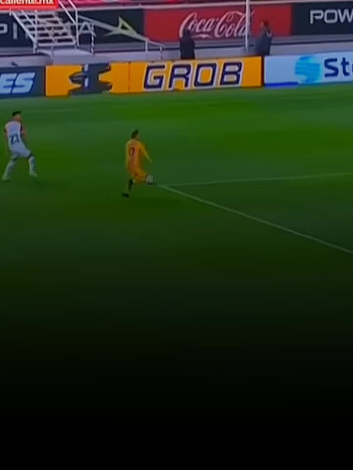 @𝗧𝗜𝗚𝗥𝗘.𝗠𝗧𝗭