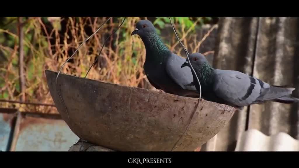 @Chetan kumar