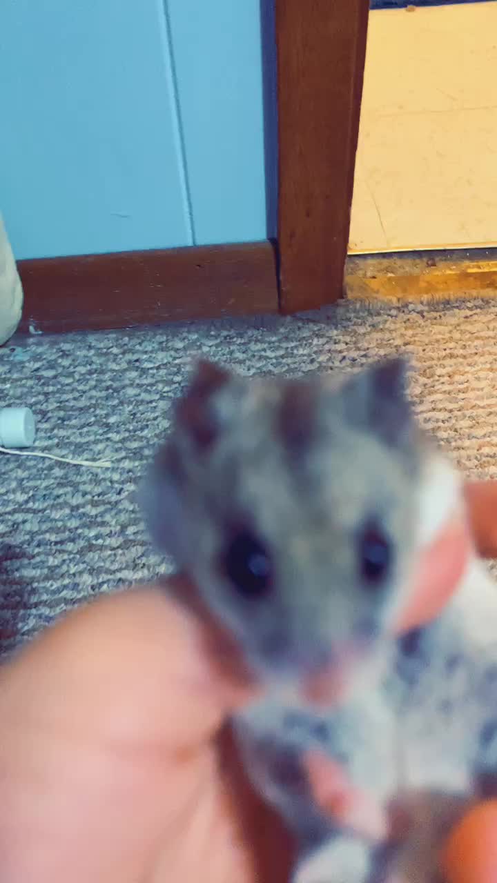 @Hi I’m bob let’s be friends!!!