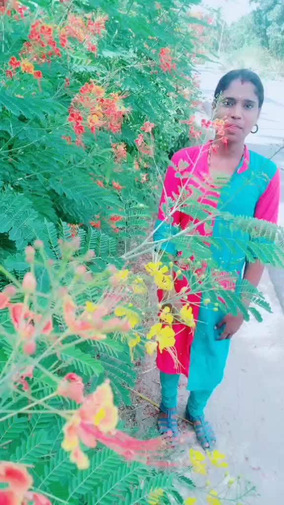 @kamalikutti