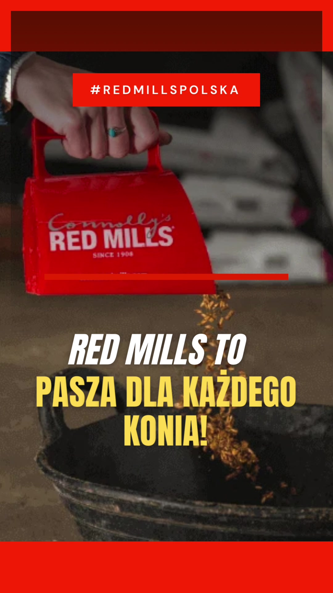 @Red Mills Polska 🐎