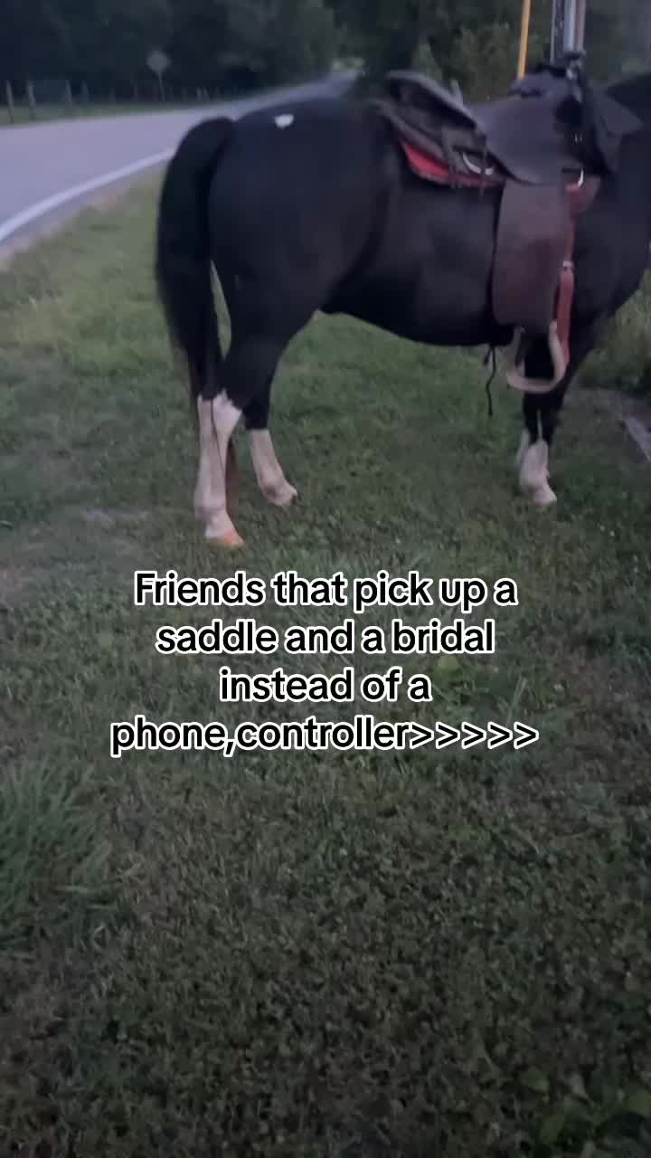 @444..Rylei