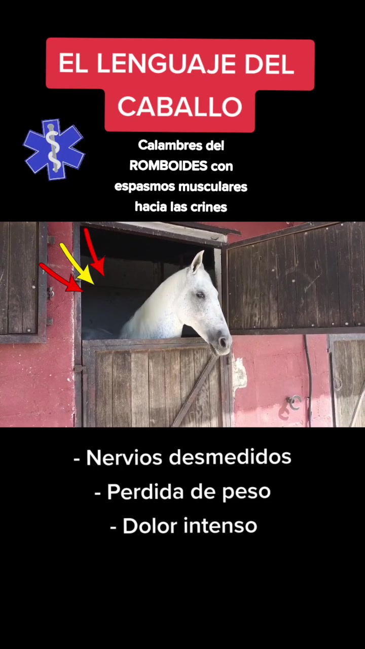 @Doma🇪🇦Clasica