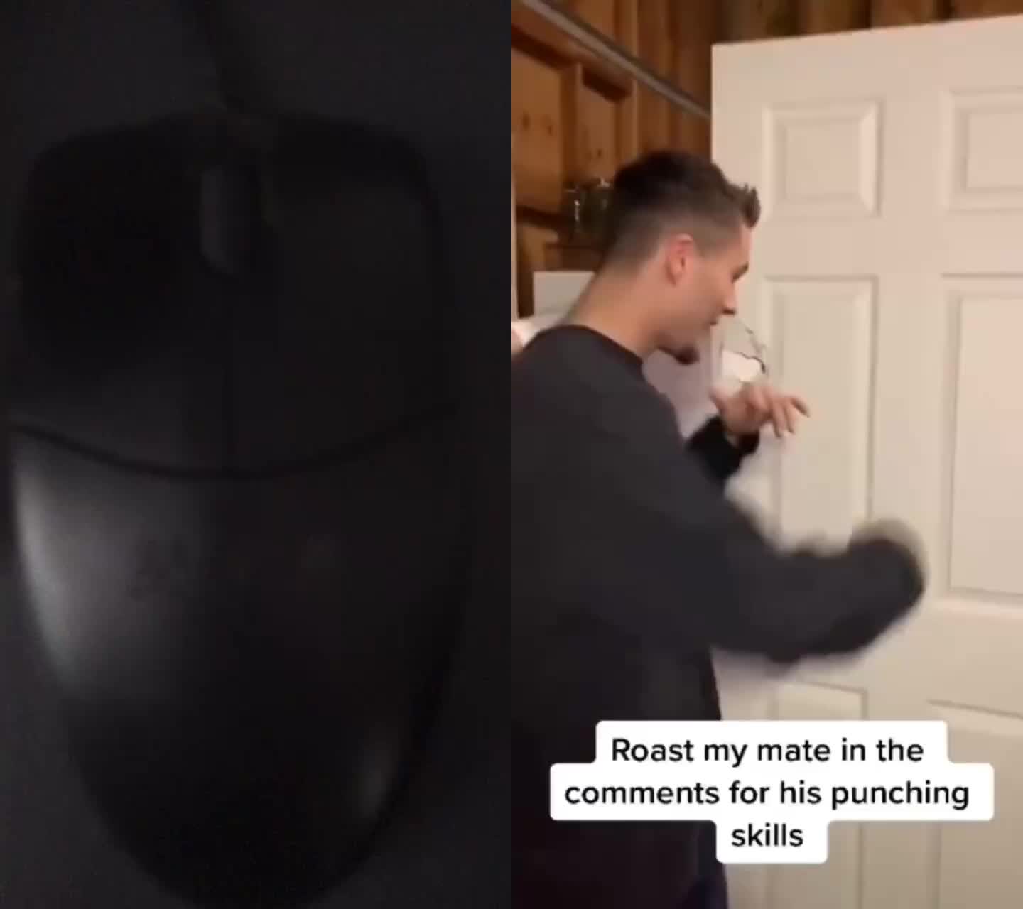 @dogtraining000