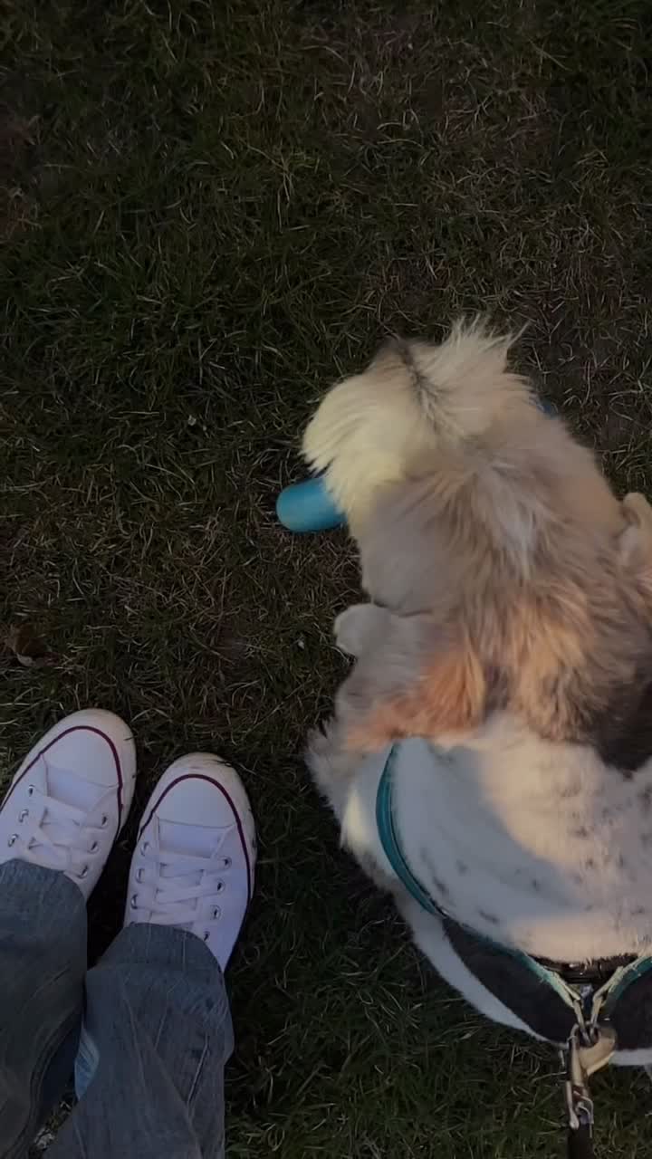 @𝐻𝑢𝑔𝑜