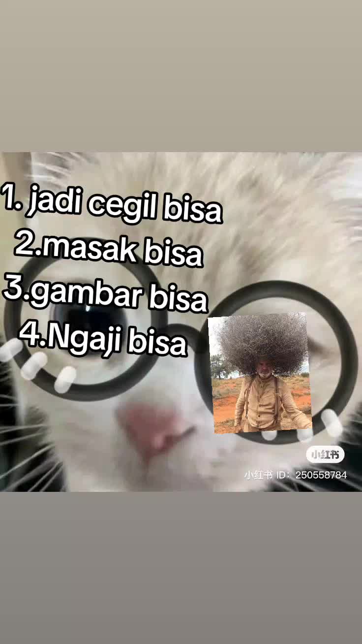 @Aozozorablueš