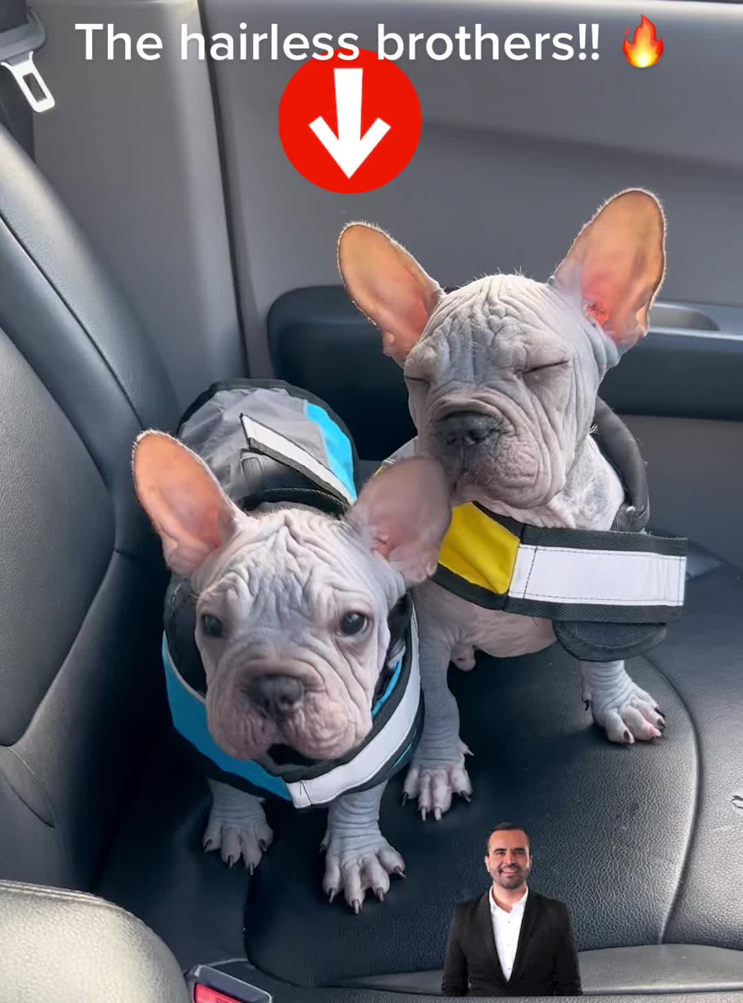@Softskinpuppies