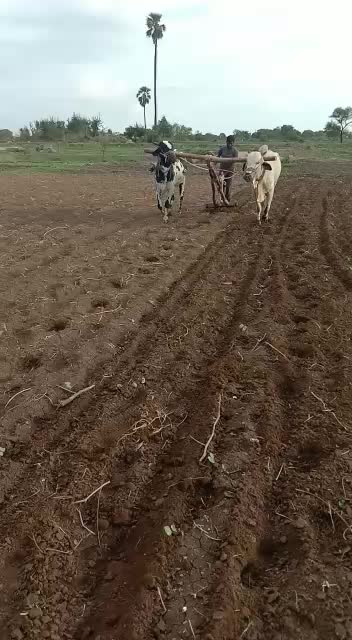 @Allu Eshwar