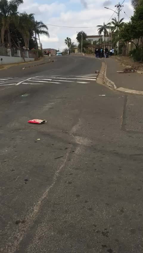 @buses in durban